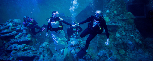 This couple's underwater wedding is seriously wild